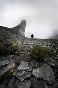 The Journey ot the Western Plateau       